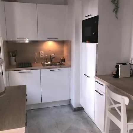 Apartment Victoria Palace - 2 Pieces - Piscine - Parking Menton